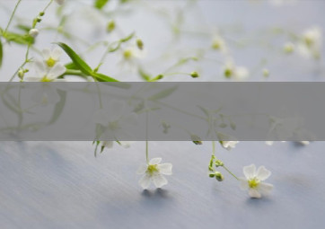 anydesk安全性/AnyDesk Windows 版防火墙例外设置