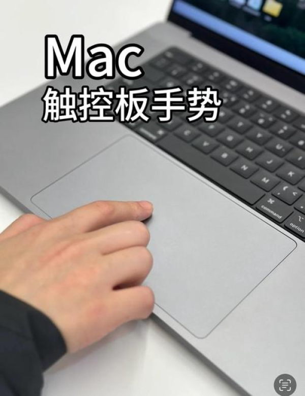 AnyDesk 手机版横屏控制设置_anydesk控制安卓_anydesk手机版使用教程